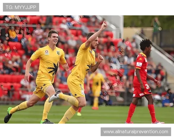 欧国联D级联赛球队近期表现稳健，竞争力逐步提升