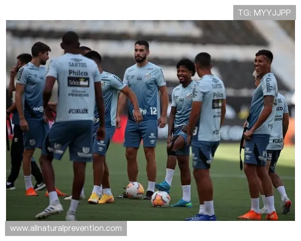 南美杯崛起球队