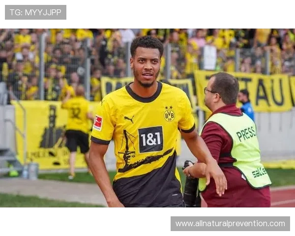 多特蒙德中场一断就崩,推进失控问题持续暴露,稳定性面临考验 多特蒙德中场一断就崩,推进失控问题持续暴露,稳定性面临考验